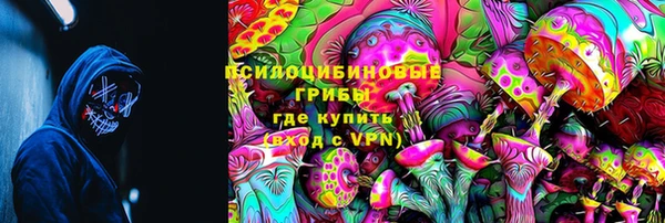 прущая мука Алзамай