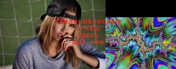 бошки Алексин
