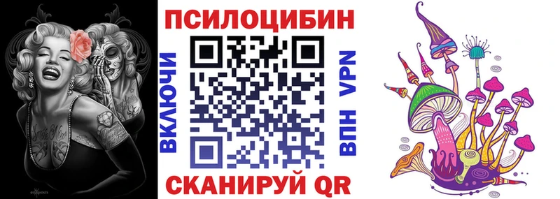 Псилоцибиновые грибы GOLDEN TEACHER  omg маркетплейс  Иланский 